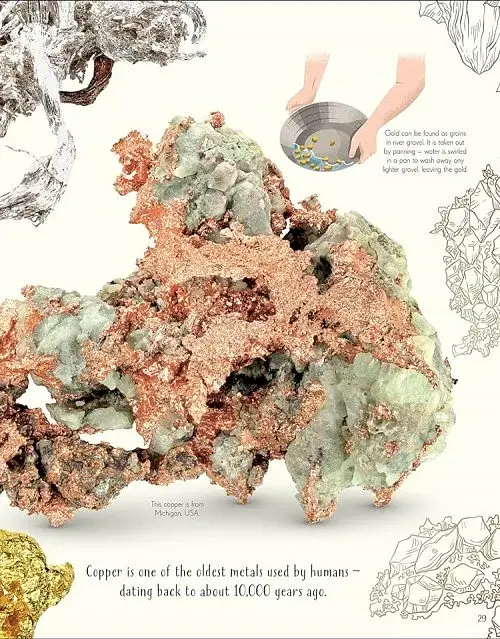 An Anthology of Our Extraordinary Earth - фото 5