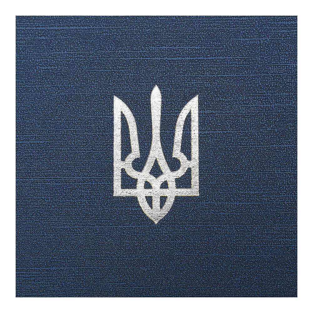 Щоденник датований Buromax Powerful 2026 A4 бумвініл/поролон синій (BM.2749-02) - фото 4