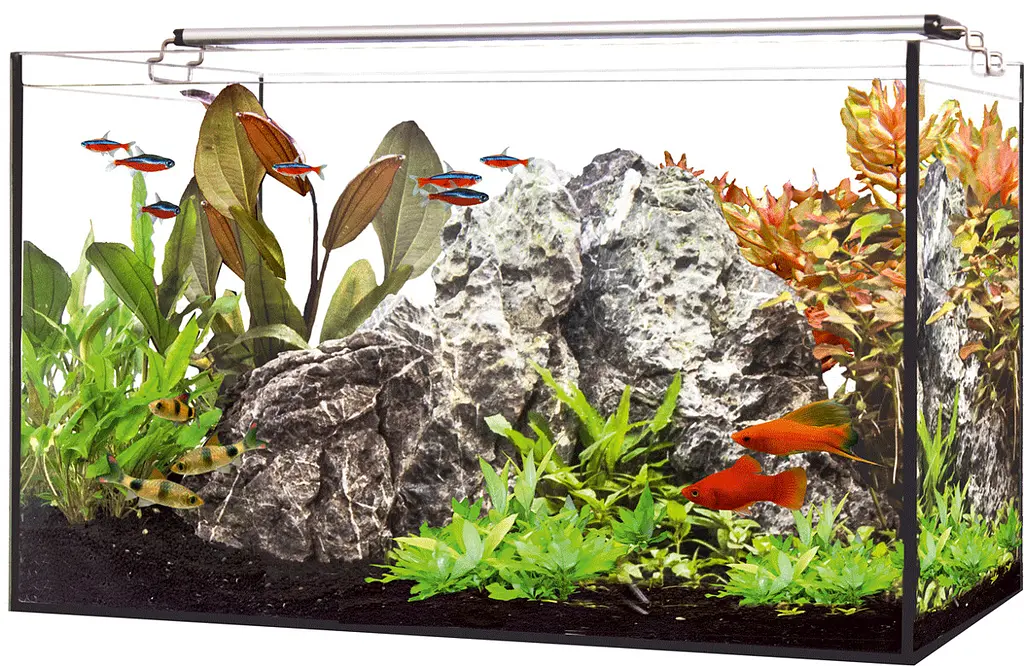 Акваріумний комплект LED AQUARIUM 60, 63л, 60×30×35см