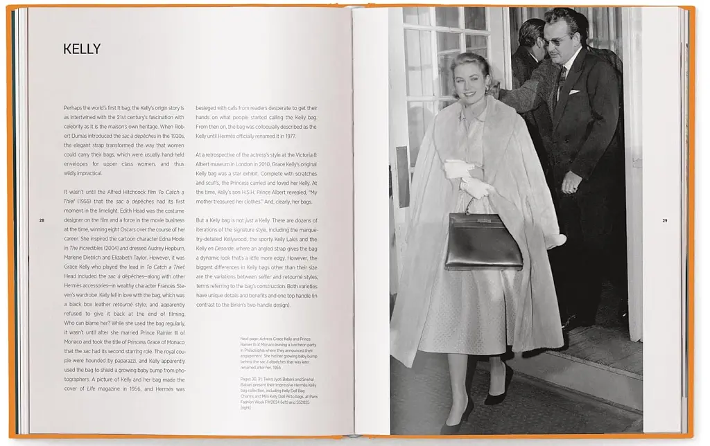 The Ultimate Guide to Hermès Bags - фото 4