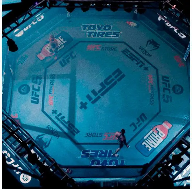Гра EA SPORTS UFC 5 для PS5 (EN) [93375] - фото 4