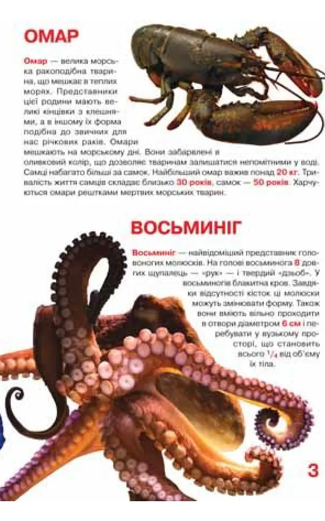 Велика книжка. Мешканці морів та океанів - фото 3