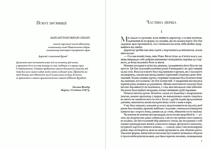 Книга Пані Боварі - Гюстав Флобер (Андронум) (2021) - фото 3
