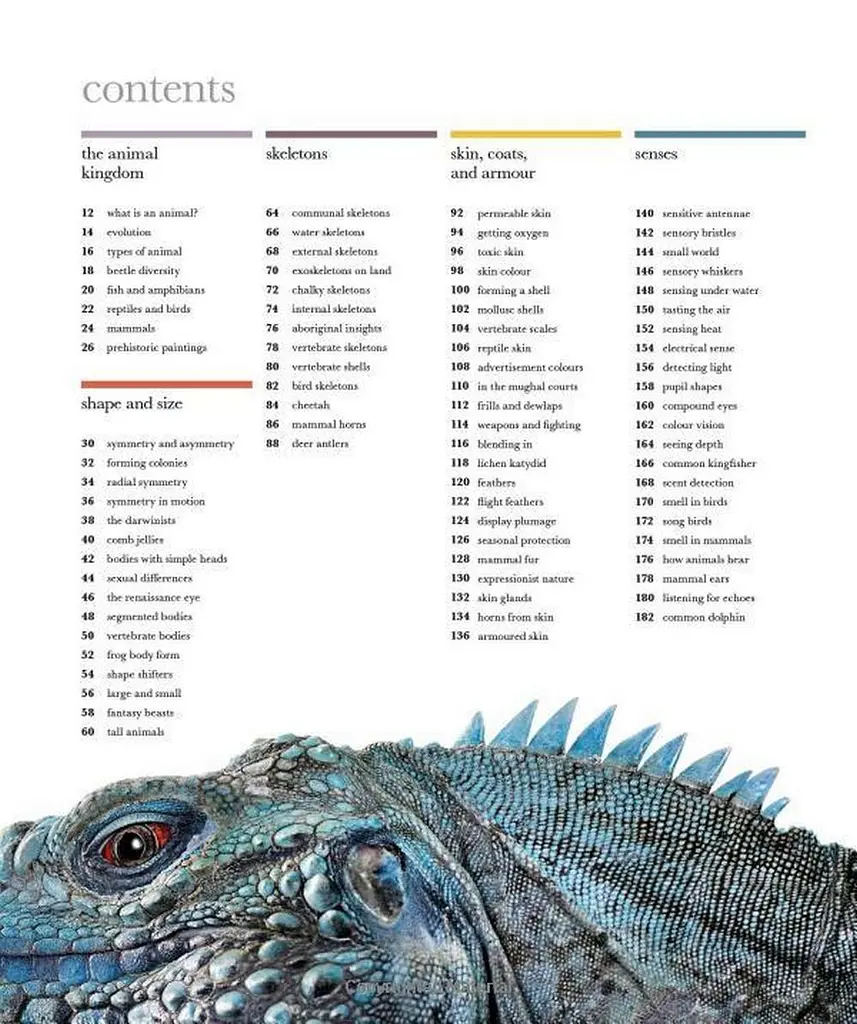 The Science of Animals - фото 3