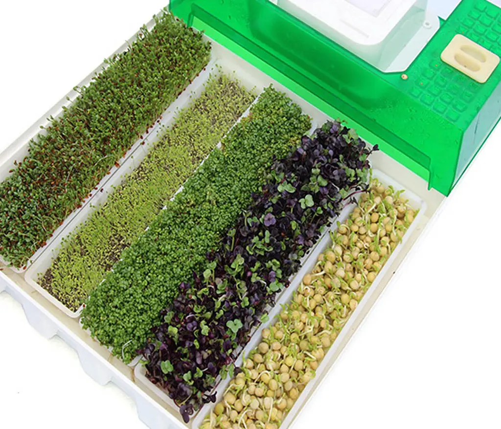 Мікроферма EasyGreen EGL 55 - фото 6