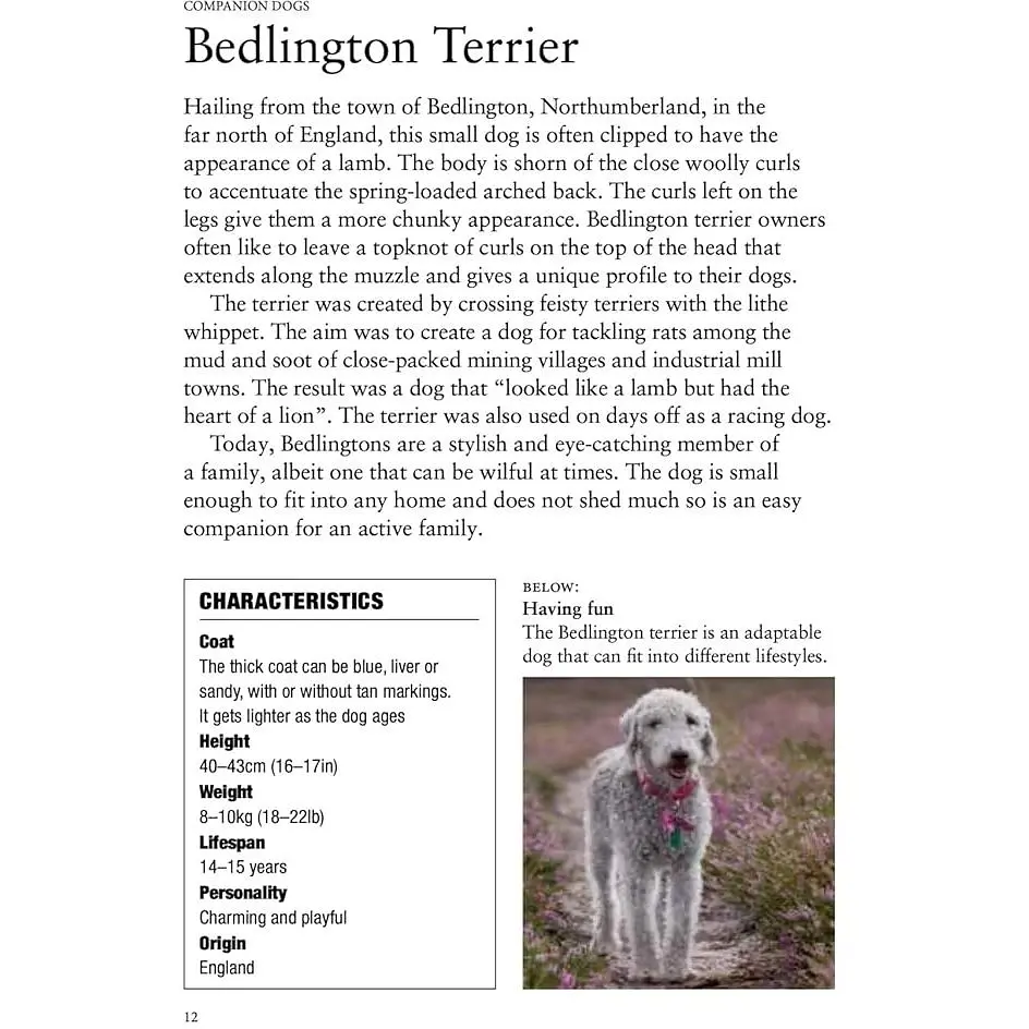 Dog Breeds: Characteristics, Breeds, Care, Origins - Джексон Том - фото 5