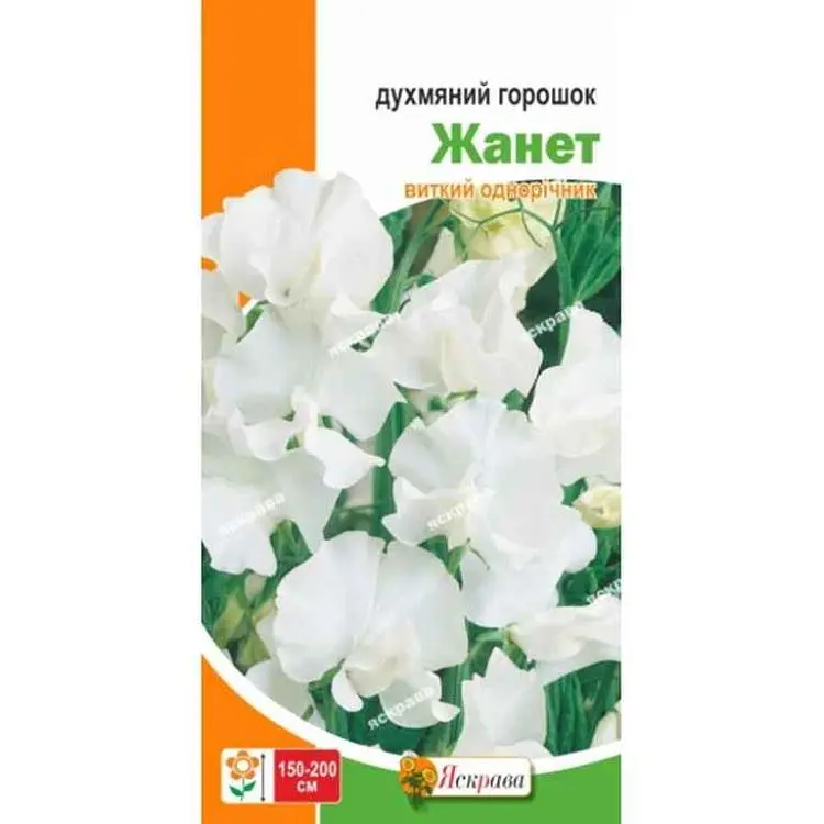 Горошок духмяний ЯСКРАВА Жанет білий (20 пачок) 1г