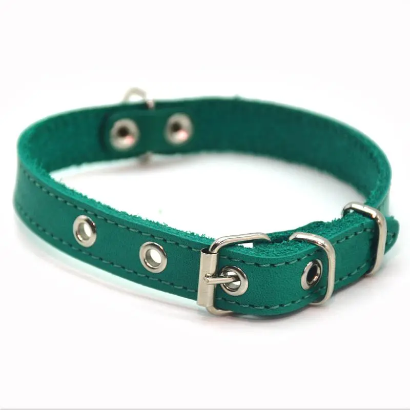 Ошейник для собак Zoo-hunt кожаный О мятный 2,0/32-40 см - фото 4