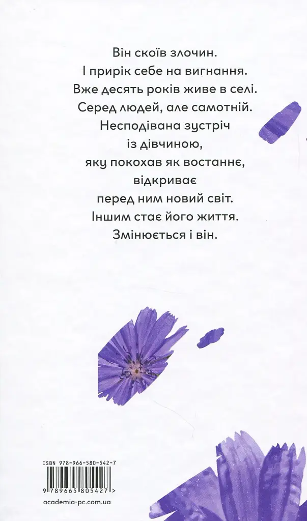 Квіти цикорію - фото 2