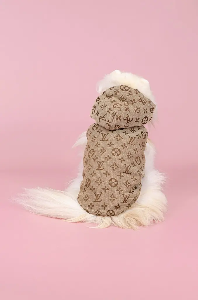Жилетка для собак із капюшоном Louis Vuitton S бежева - фото 2