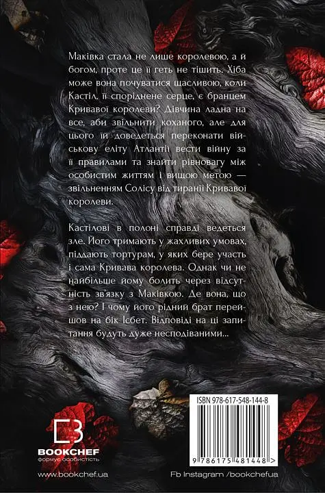 Кров і попіл. Війна двох королев - Дженніфер Л. Арментраут - фото 2