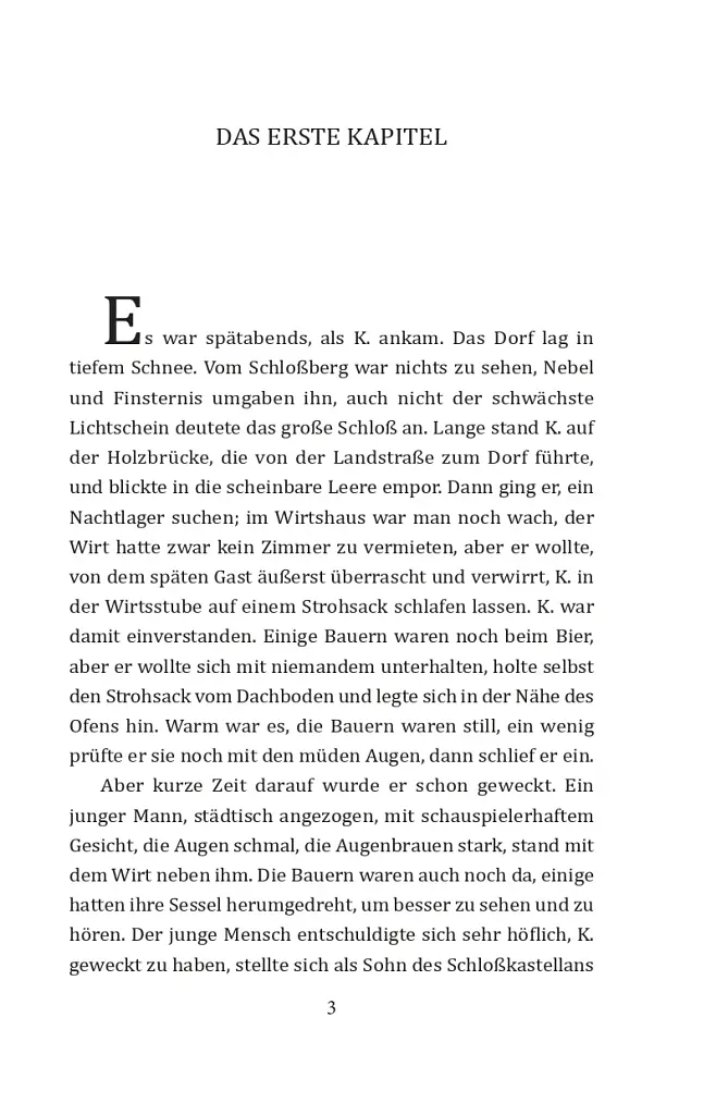 Das Schloß - фото 4