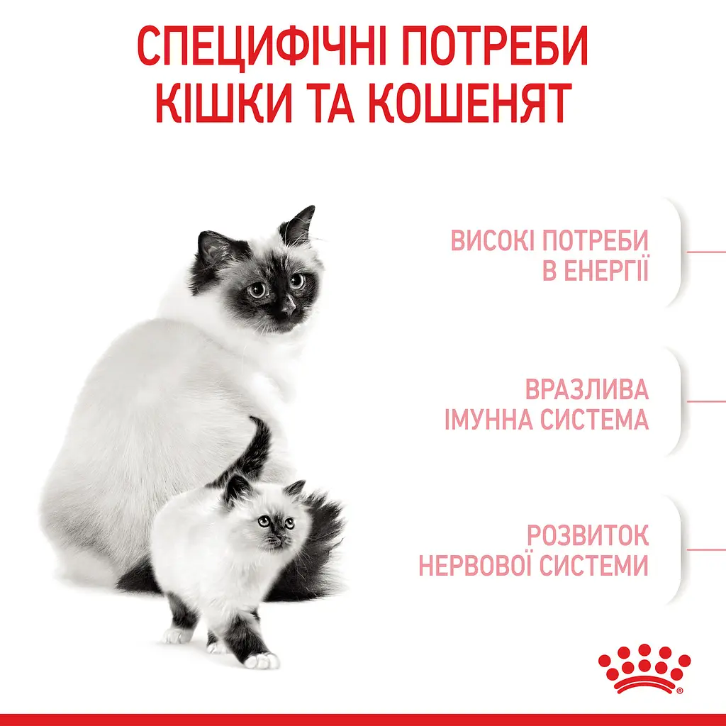 Сухой корм для котят Royal Canin Mother and Babycat мясо птицы и рис 0.4 кг - фото 4