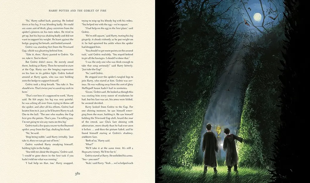 Harry Potter and the Goblet of Fire. Book 4. Illustrated Edition - фото 3