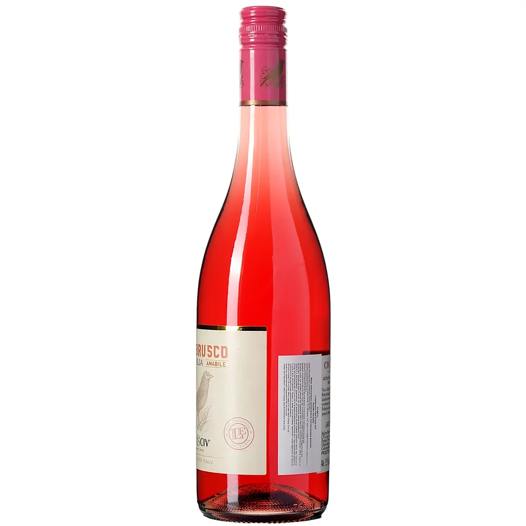Вино напівігристе Civ&Civ Lambrusco dell'Emilia Rosato Amabile напівсолодке рожеве 0.75 л - фото 2