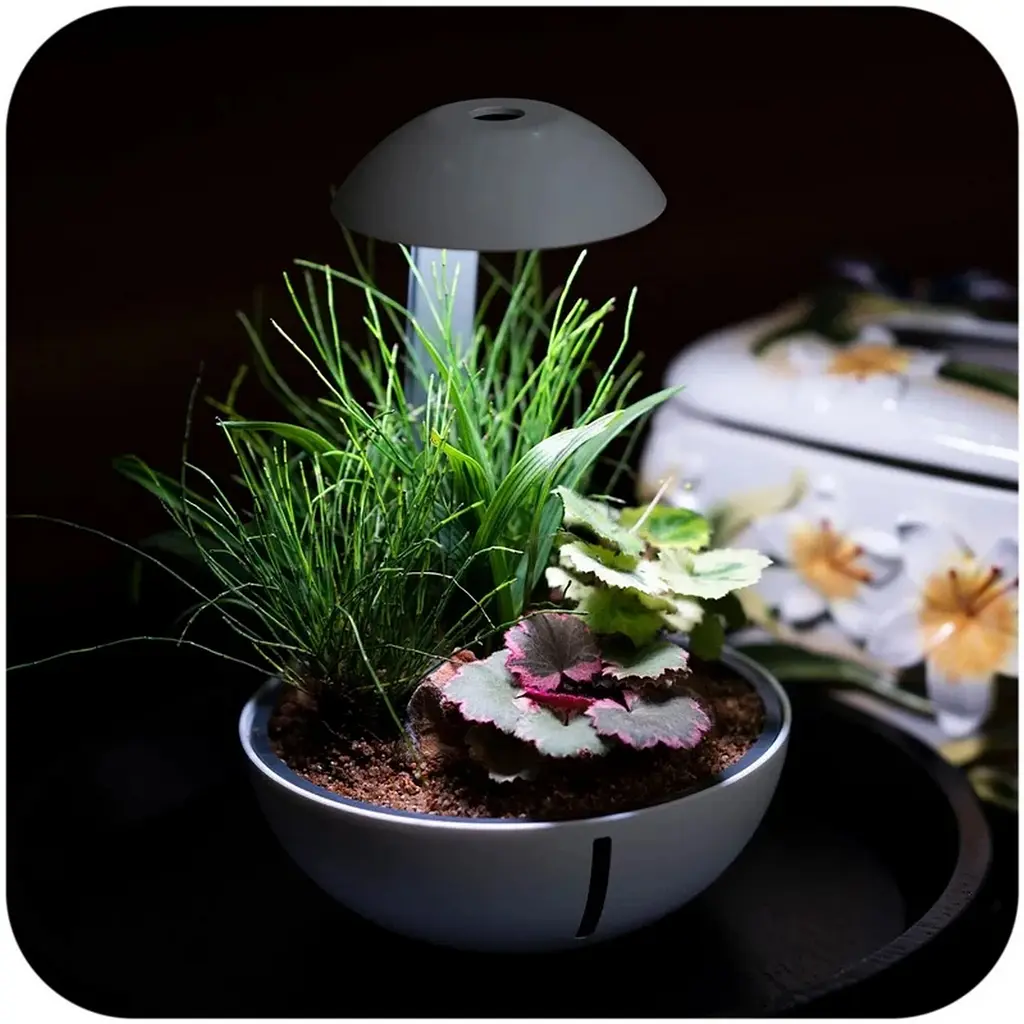 Мінітераріум Chihiros Tiny Terrarium Egg з LED-підсвіткою та керуванням через застосунок - фото 2