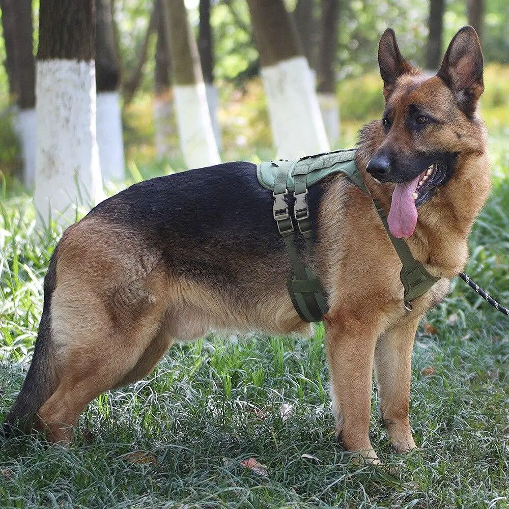 Шлейка для собак Vest, тактичний жилет з ручкою і системою MOLLE, регульований, Зелений М - фото 9