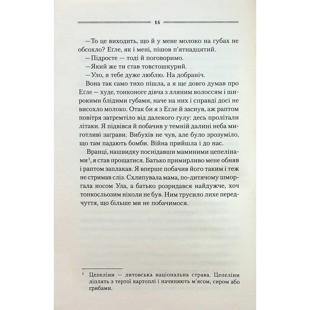 Книга Заячий костел - Василь Шкляр КСД (9786171511378) - фото 10