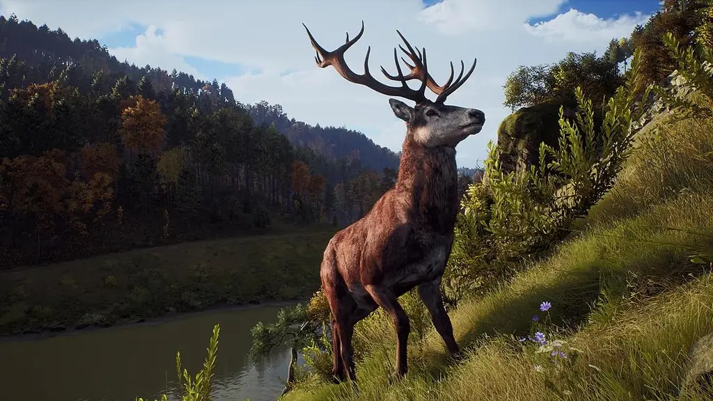Игра Sony PlayStation 5 Way of the Hunter: Hunting Season One Русские субтитры Б/у - фото 7