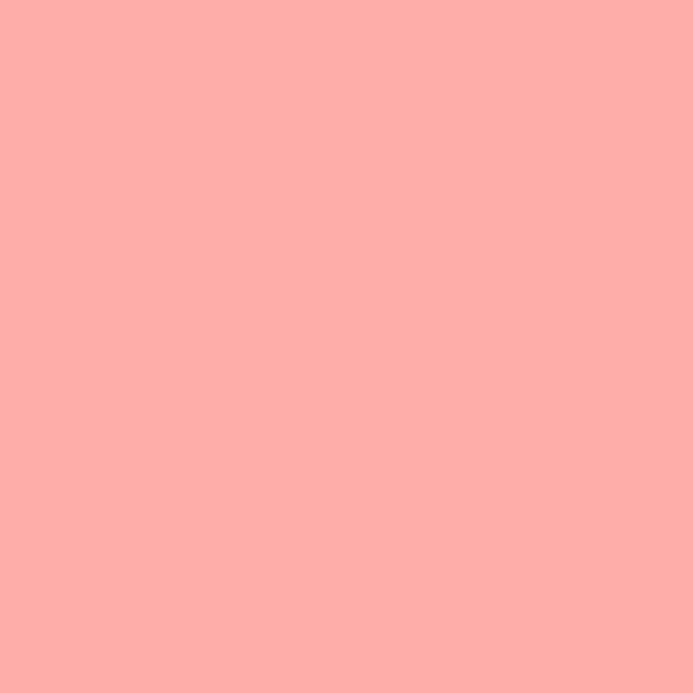 Румяна компактные Paese Blush With Argan Oil с аргановым маслом 37 3 г - фото 2