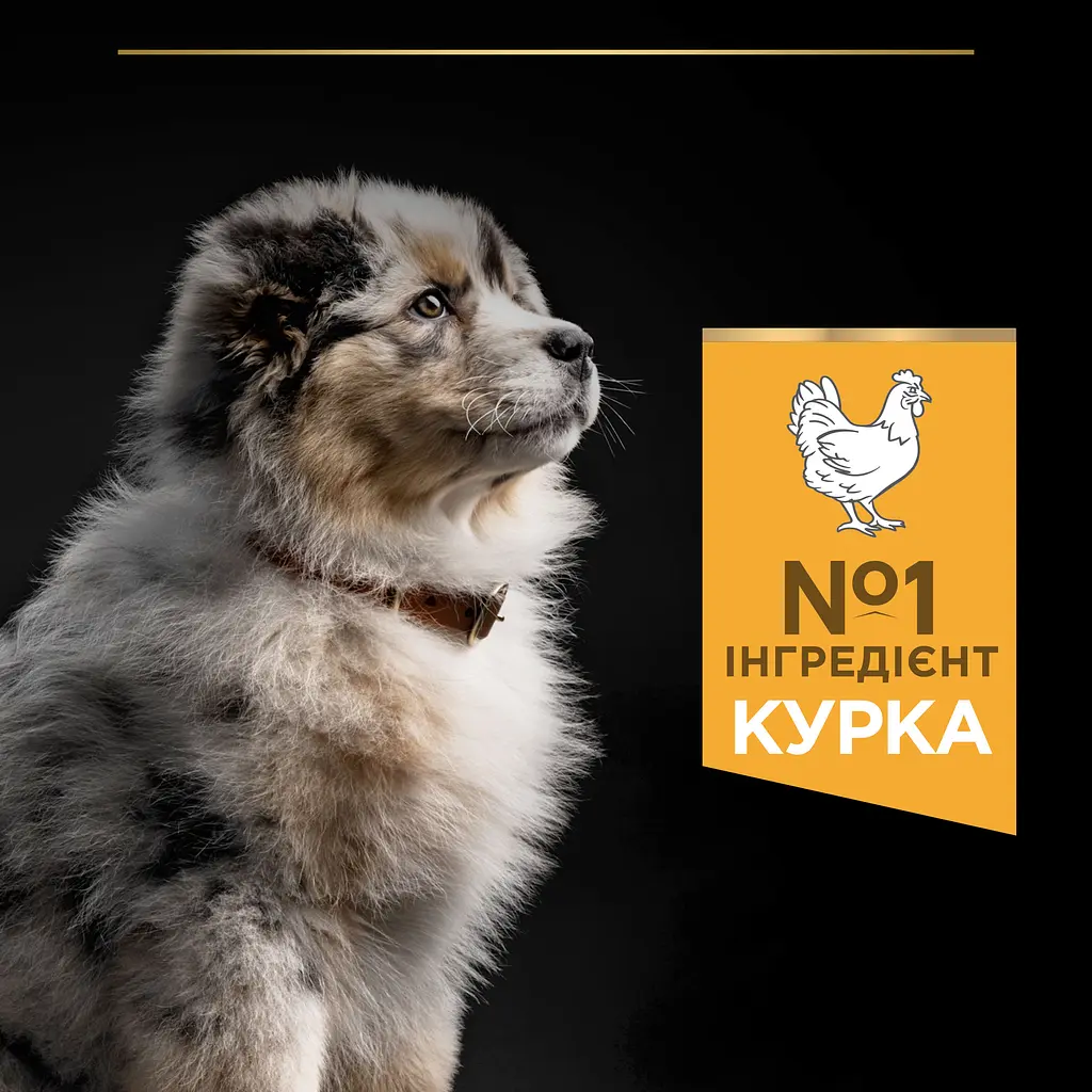 Сухой корм для щенков и молодых собак средних пород Purina Pro Plan Puppy Medium, с курицей, 3 кг (12279403) - фото 7