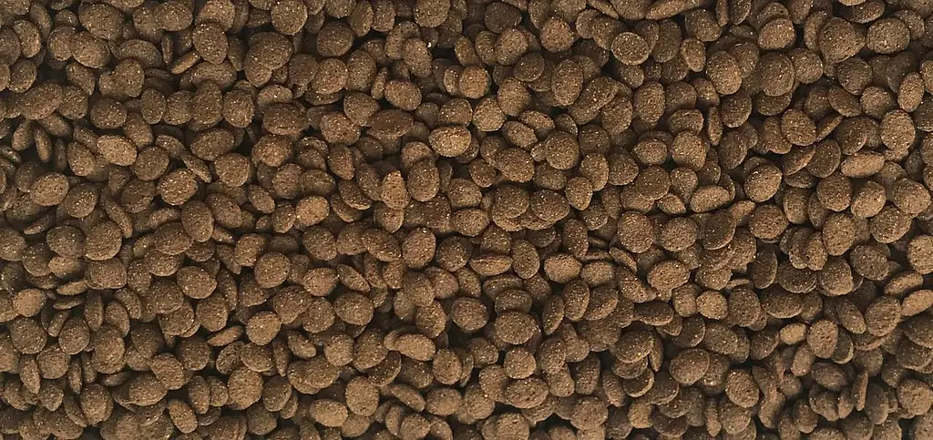 Комплексний корм у вигляді чіпсів для всіх видів водних черепах Dajana TURTLE CHIPS 5 л/1.9 кг - фото 2
