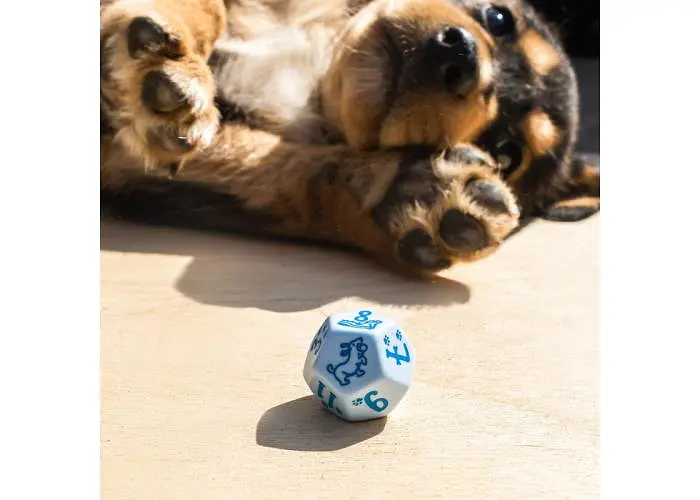 Набор кубиков DOGS Dice Set: Max , 7 шт. (SDOG02) - фото 8