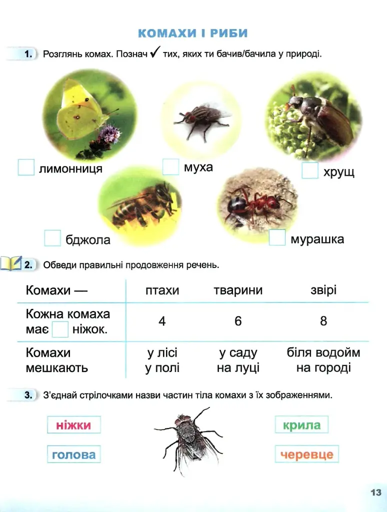 Я досліджую світ 1 клас. Робочий зошит. Частина 2 - Тетяна Гильберг - фото 2