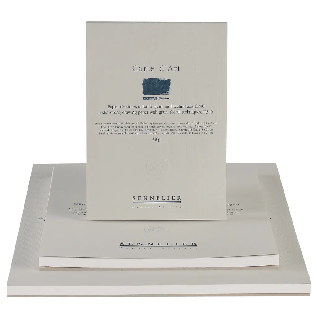 Альбом-склейка мультитехника Sennelier Carte d'art, 15 листов, 340 г/м, 24х32 см - фото 2