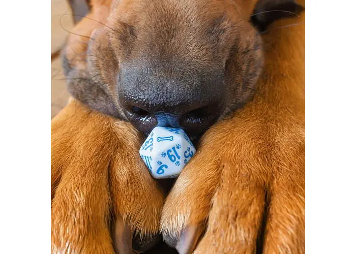 Набор кубиков DOGS Dice Set: Max , 7 шт. (SDOG02) - фото 6