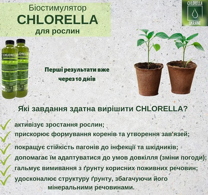 Суспензія хлорели 1 л - фото 2