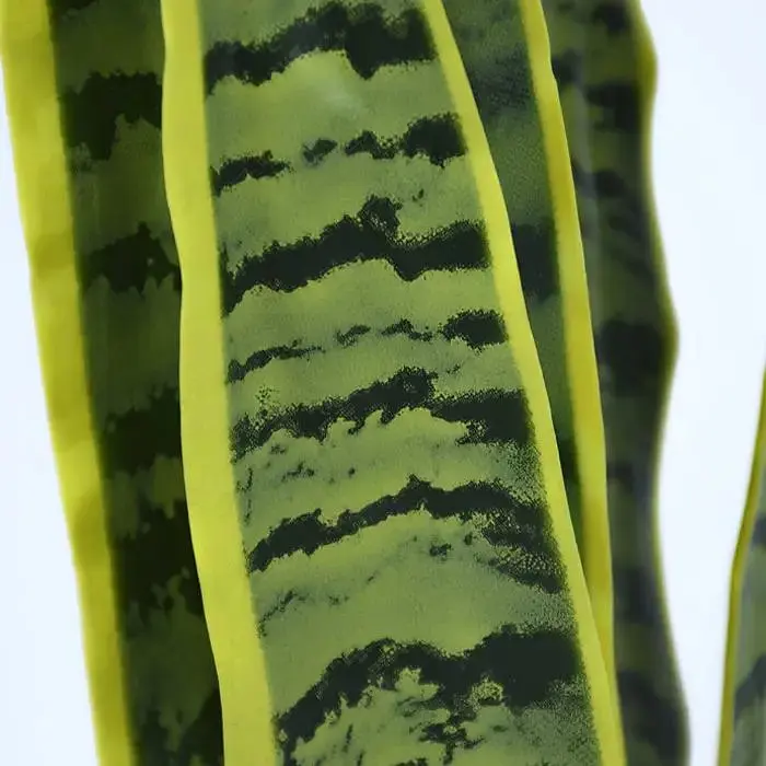 Штучна рослина Engard Sansevieria 57 см (TW-43) - фото 6
