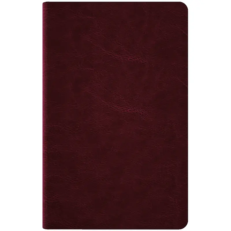 Щотижневик Axent 2026 Partner City Soft 125х195 см коричневий (8521-26-05-A) - фото 3