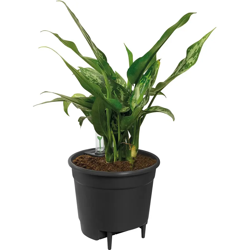 Вставка з автополивом Elho Self-Watering Insert 15 см (546694) - фото 3