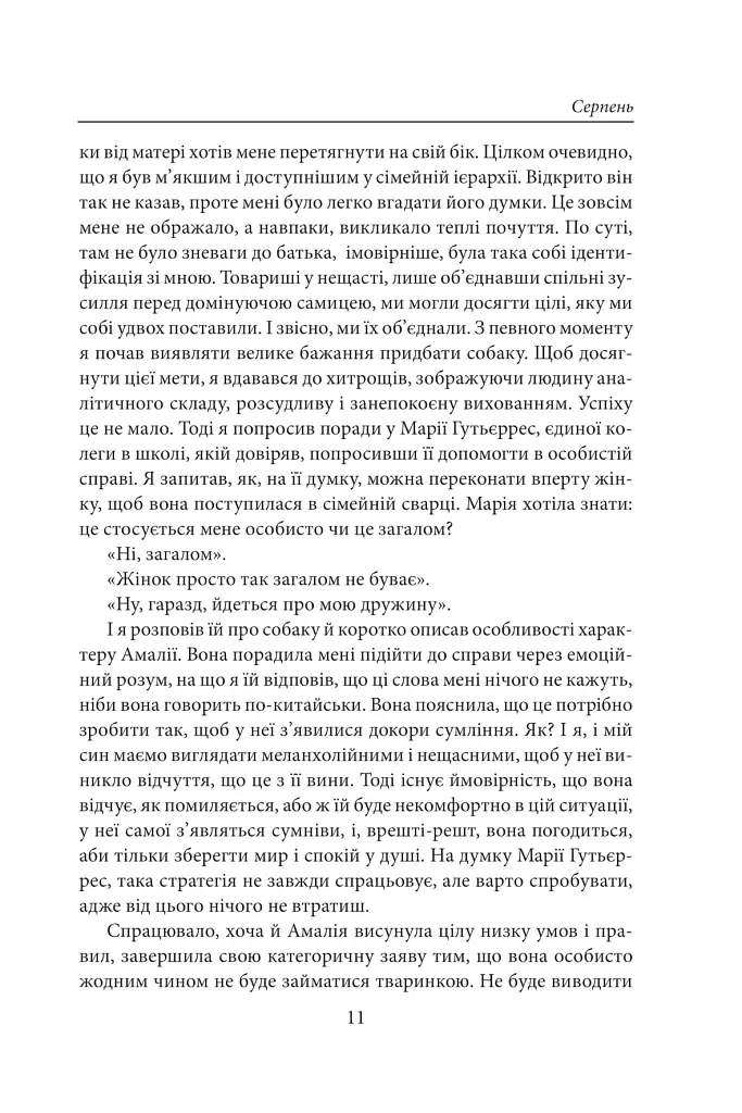 Стрижі - фото 10
