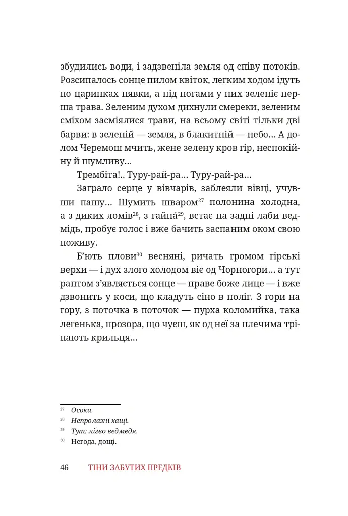 Тіни забутих предків - Михайло Коцюбинський - фото 21
