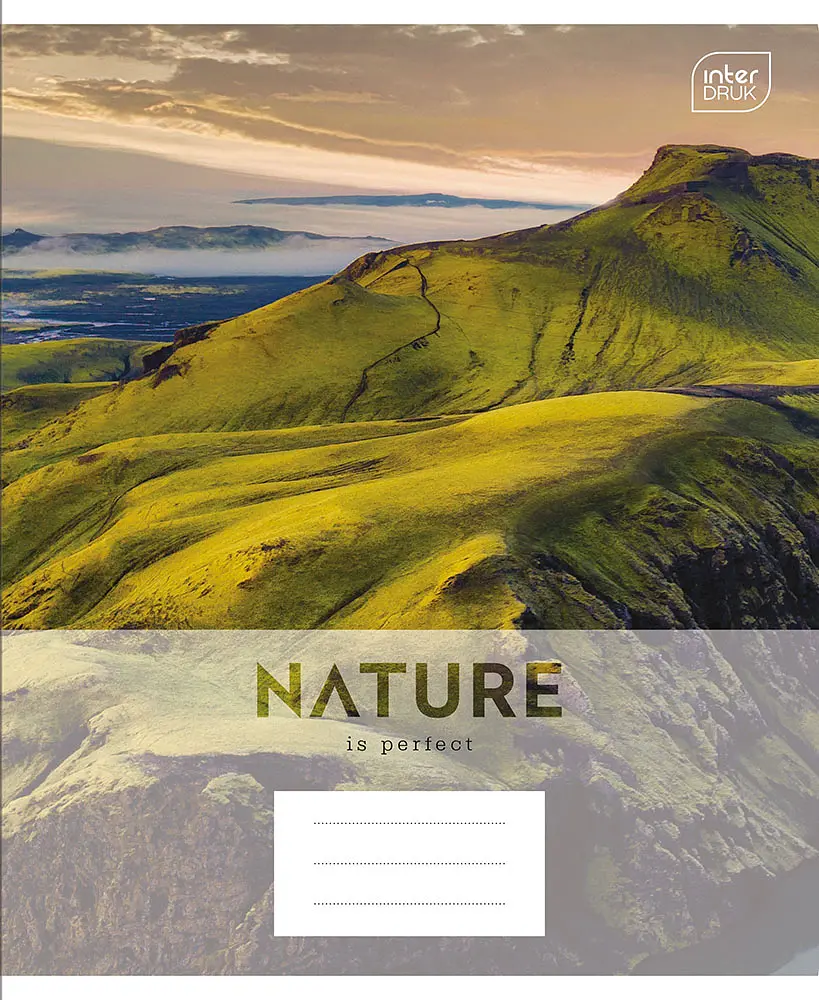 Набор тетрадей Interdruk Premium Nature ученические клетка А5+ 48 листов 4 шт. (339485-4) - фото 3