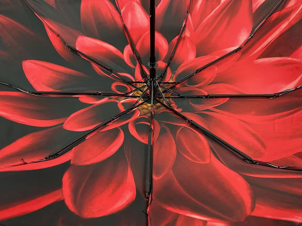 Женский складной зонтик полуавтомат Susino 98 см черный - фото 9