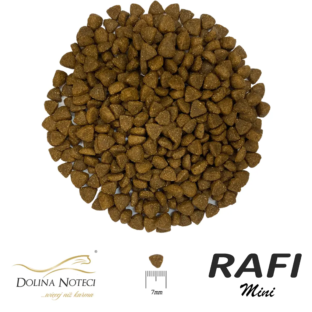 Сухий корм для дорослих собак малих порід Dolina Noteci Rafi Mini з ягням 3 кг - фото 2
