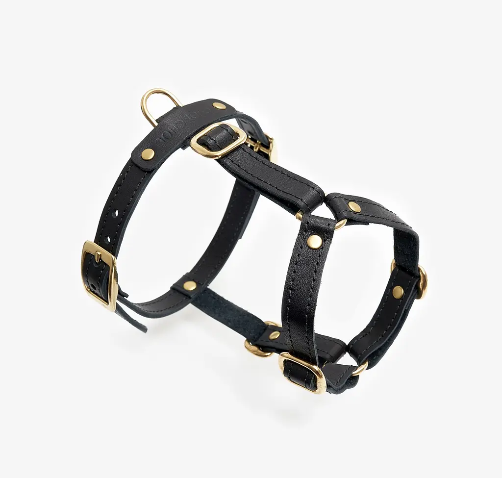 Шкіряна анатомічна шлея для собак "Classy" XS чорна (обхват грудини 28-36 см) - фото 6