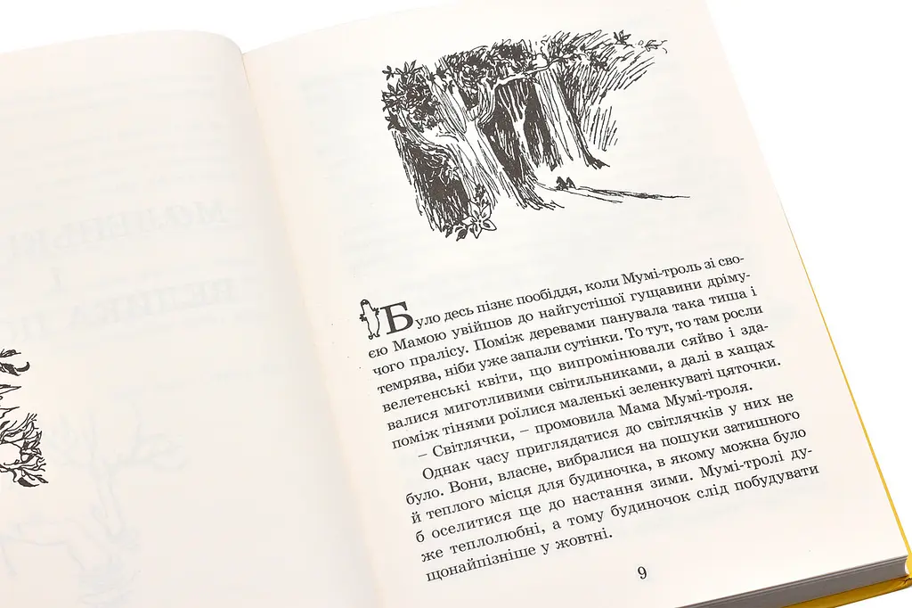 Країна Мумі-Тролів. Книга 1 — Туве Янссон - фото 2