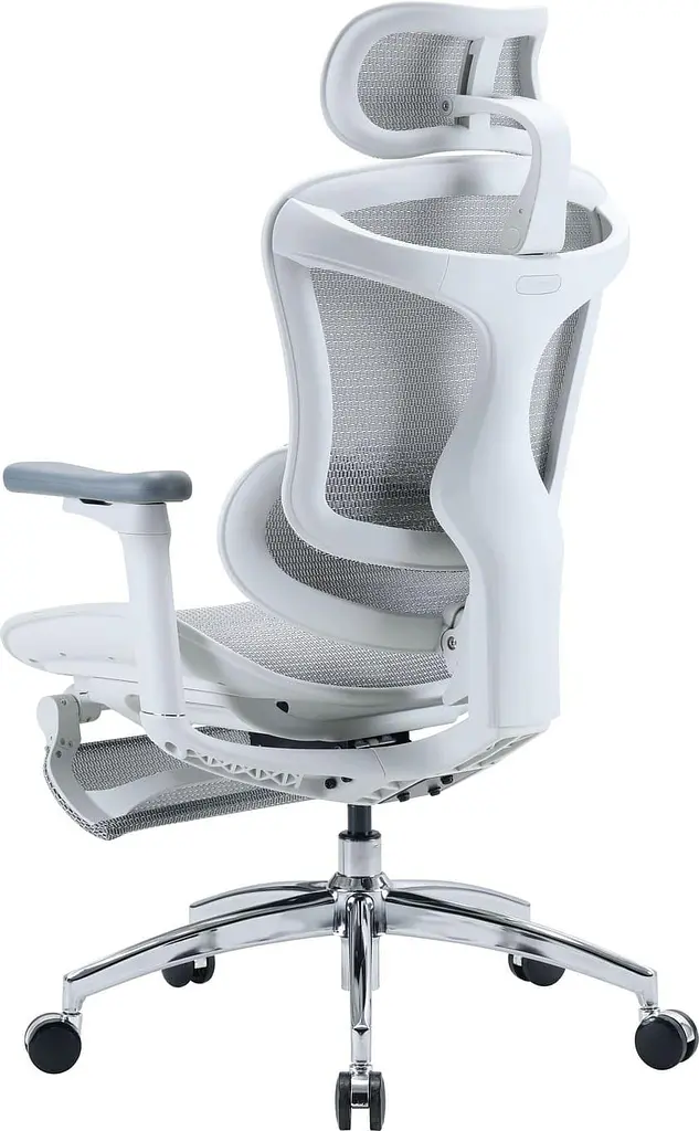 Офісне крісло Sihoo DORO C300L Mesh White with footrest (DORO-C300L-A3-102-JT) - фото 5
