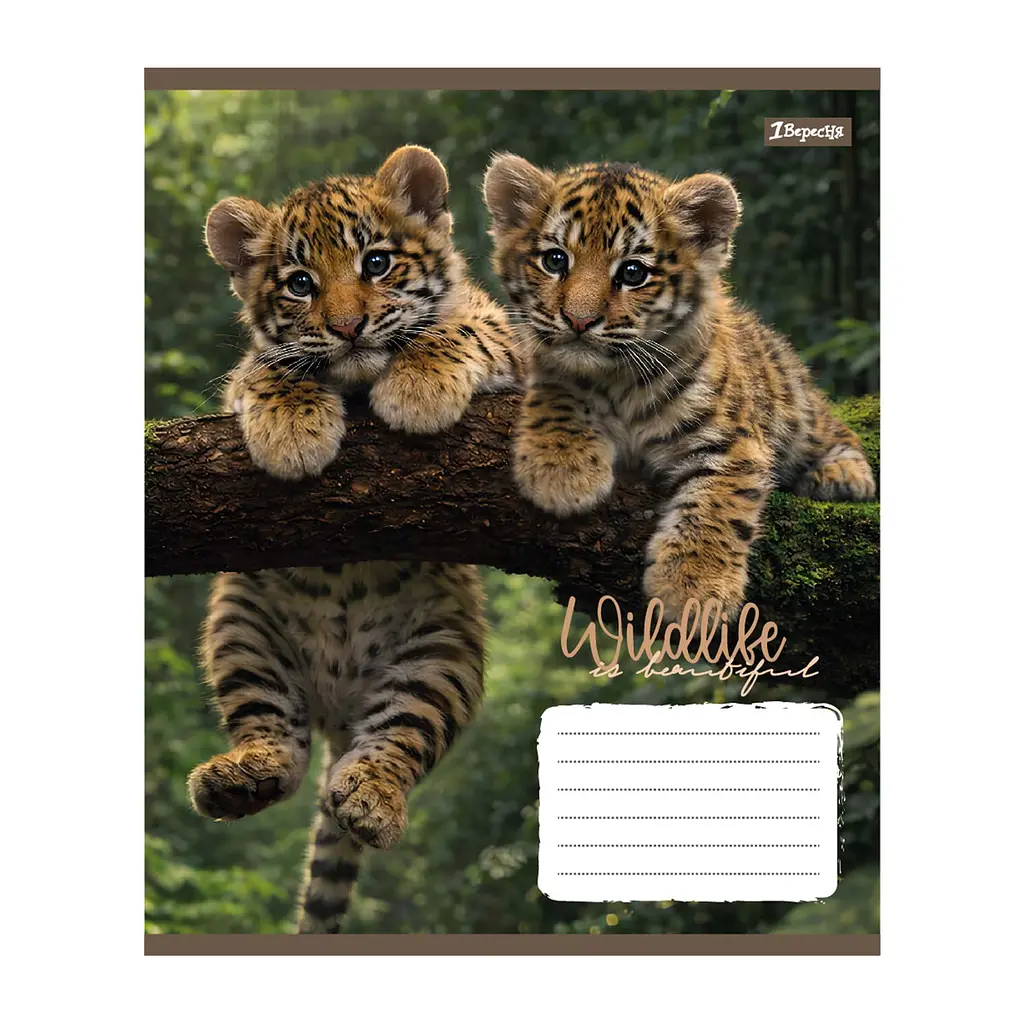 Упаковка зошитів 1В Wildlife is beautiful А5/24 кл. 20 шт. (769146) - фото 4