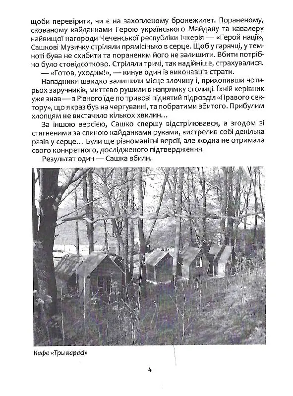 Сашко Білий: життя, мов спалах - Олександр Намозов - фото 3