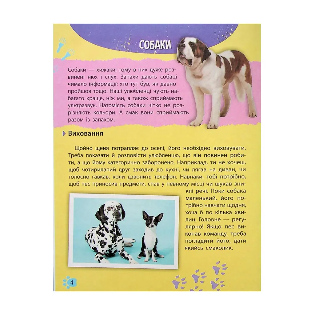 Книга Мініенциклопедія. Хатні улюбленці Vivat (9789669827241) - фото 5