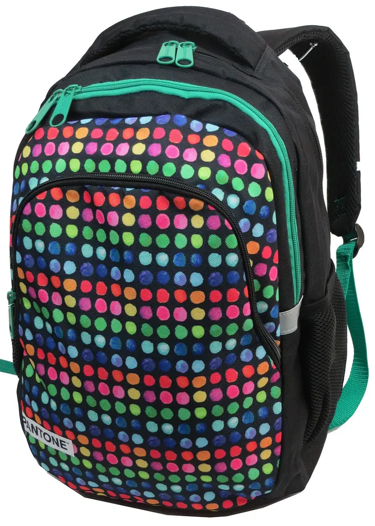 Рюкзак молодіжний Paso 00-699PAN 22L Різнокольоровий - фото 3