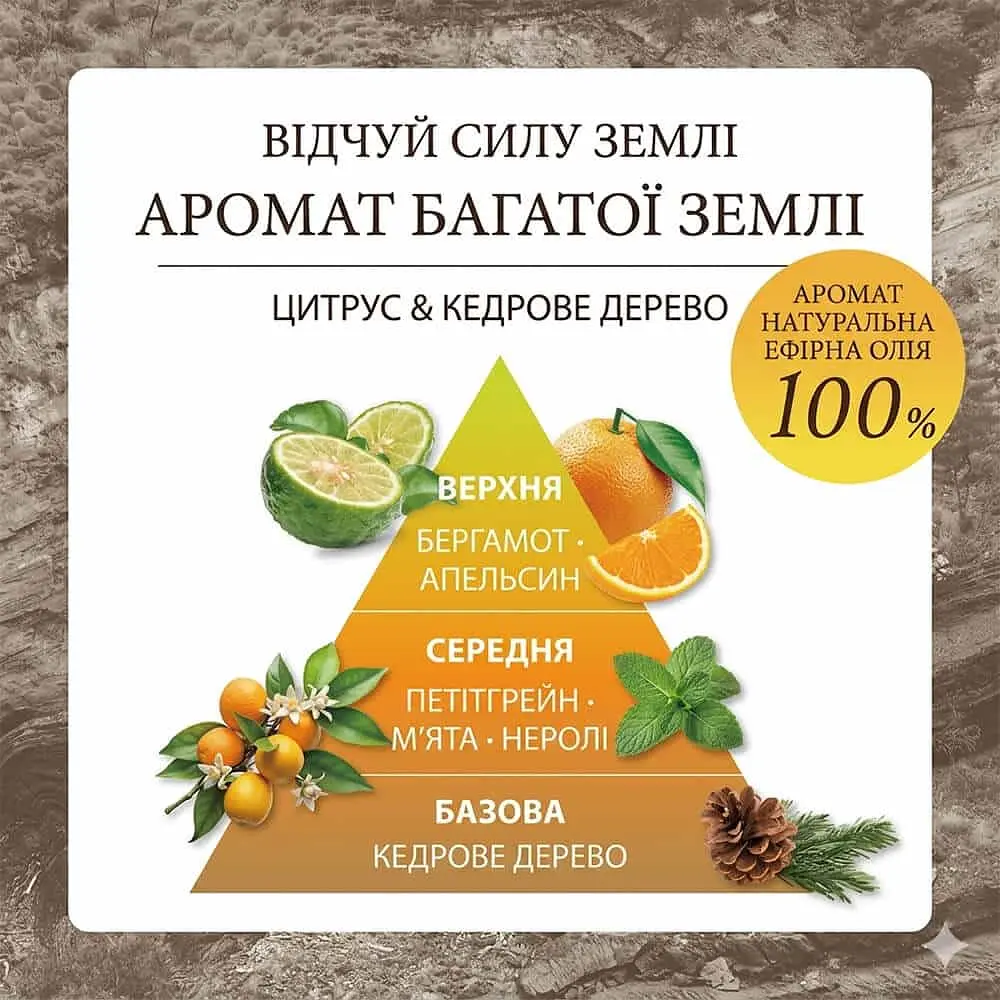 Шампунь для оздоровлення волосся та шкіри голови Land Essence Cocopalm 450 мл - фото 2
