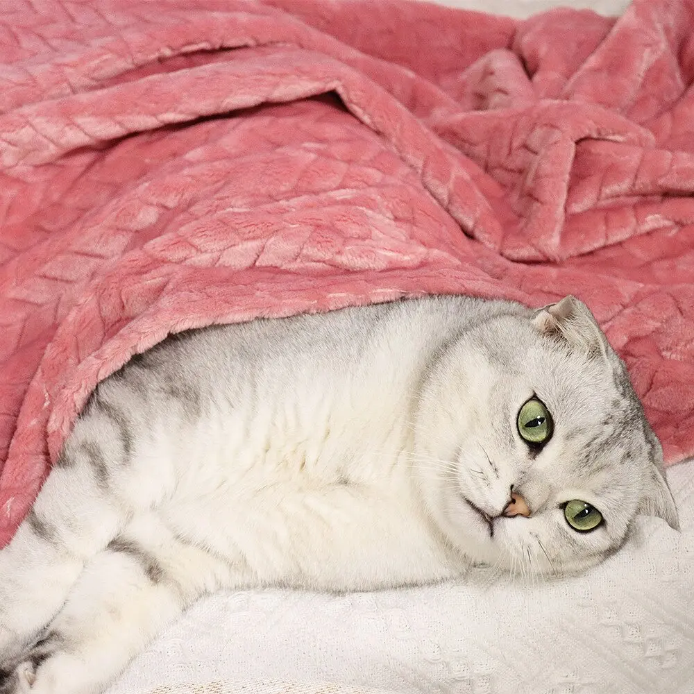 Плед для тварин Soft Warm Fluffy Pet Blanket 70х100 см Сірий - фото 5
