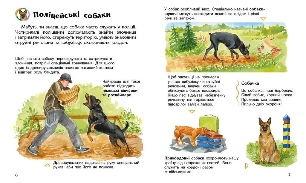 Енциклопедія дошкільника Ранок Собаки - Юлія Каспарова (С614035У) - фото 3
