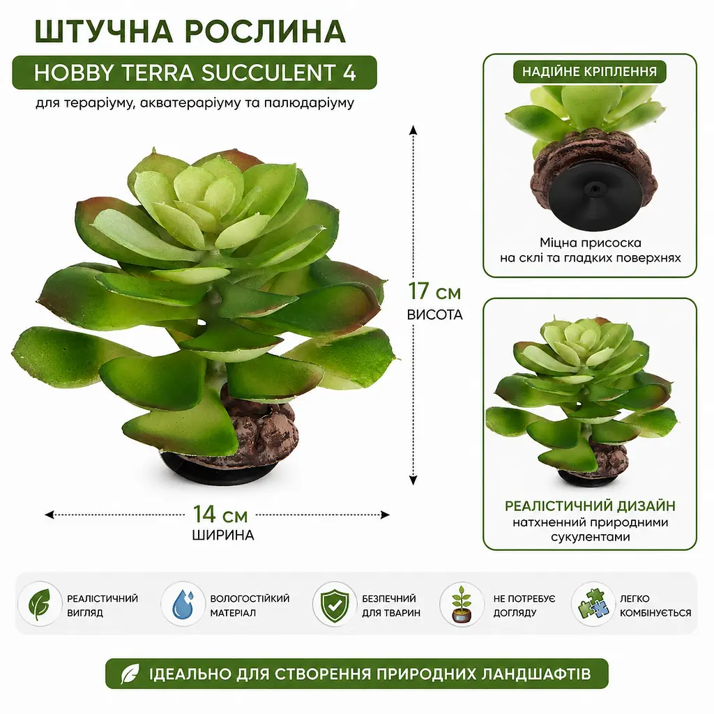 Штучна рослина Hobby Terra Succulent 4 17 см (37733) для тераріуму, акватераріуму та палюдаріуму - фото 2